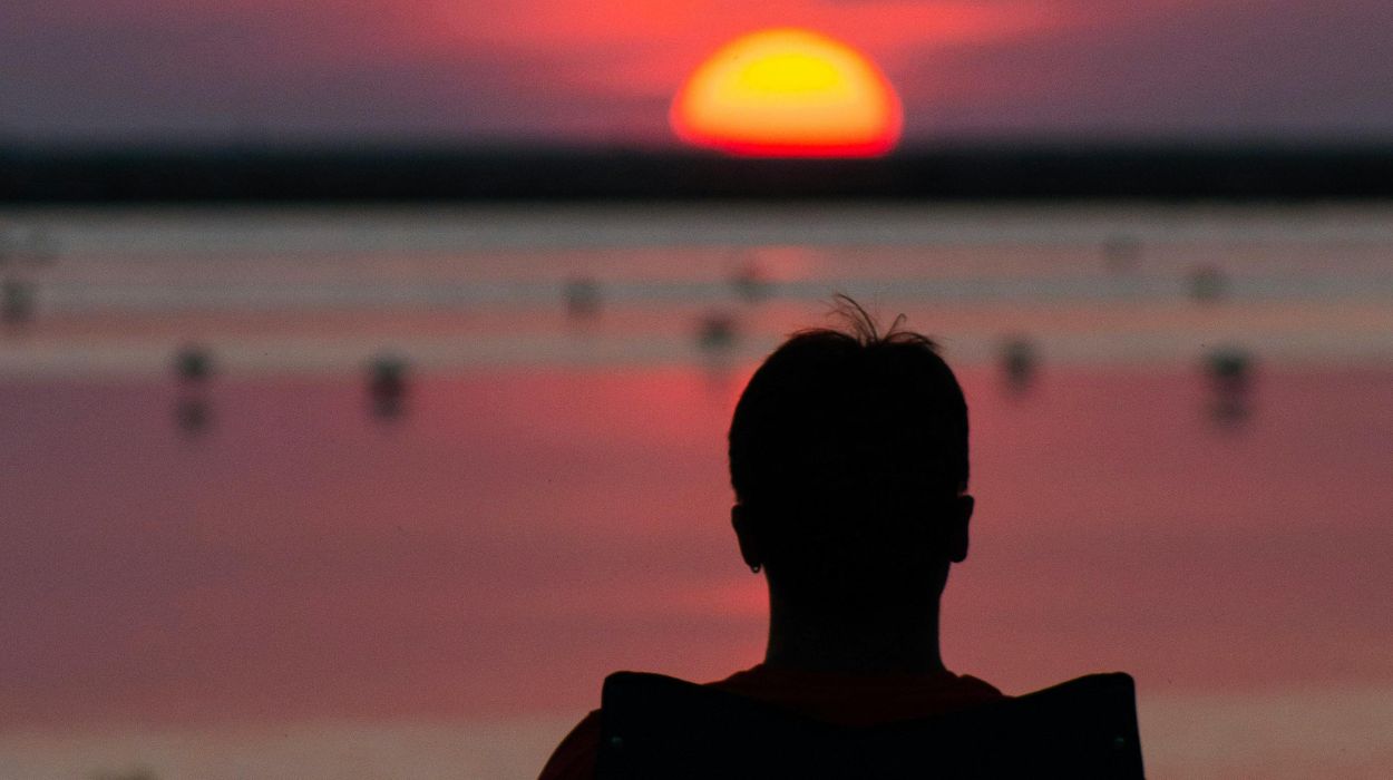 alone man watching sunset